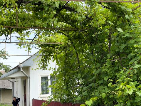 дом по адресу Січових Стрільців
