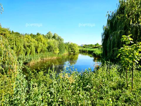 ділянка за адресою Підгородне, Коваля, 42