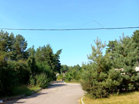 участок по адресу Канев, Дніпровська