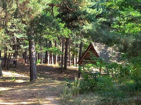 участок по адресу Канев, Дніпровська