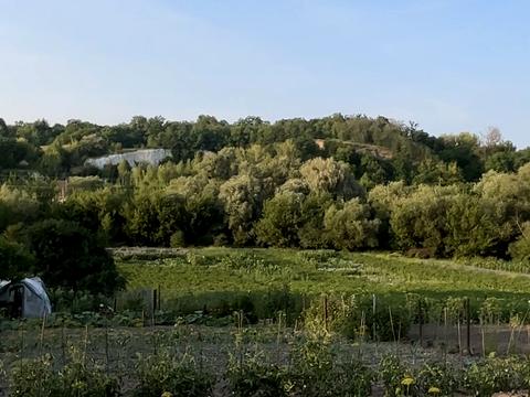 будинок за адресою с. Городок, Ніни Майстук