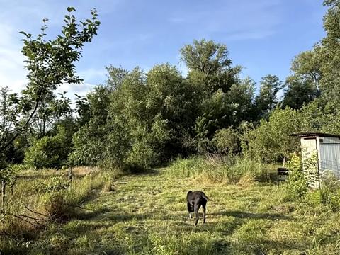 дом по адресу Центр, 10