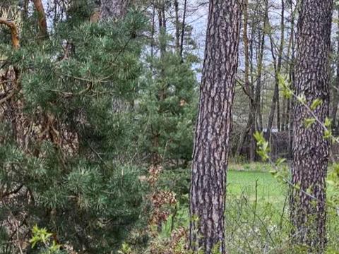участок по адресу Лісова ул., 16