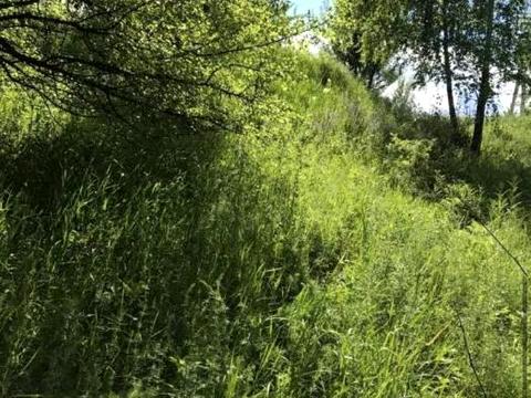 ділянка за адресою Лісова, 18
