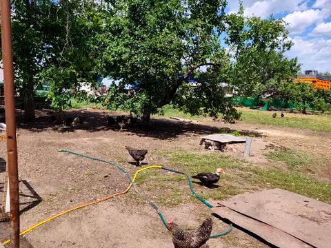 дом по адресу Рабкоровская ул. (Рабкоровская)