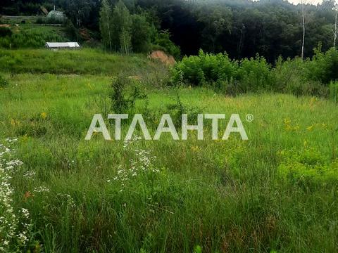 ділянка за адресою лісова, 14б