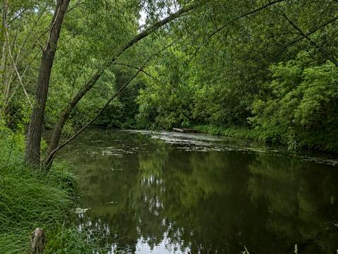 комерційна за адресою лугова, 1