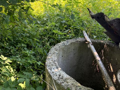 ділянка за адресою с. Чуловичі, Солонична, 83