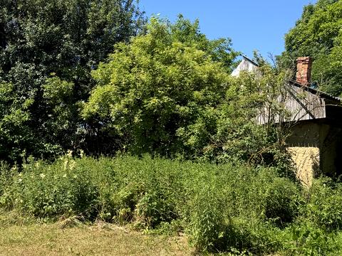 ділянка за адресою с. Чуловичі, Солонична, 83