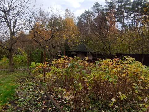 будинок за адресою Лісова вул., 38