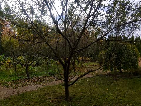 будинок за адресою Лісова вул., 38