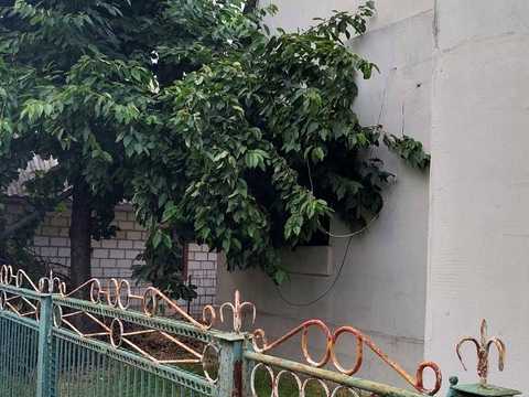 будинок за адресою Фіалкова
