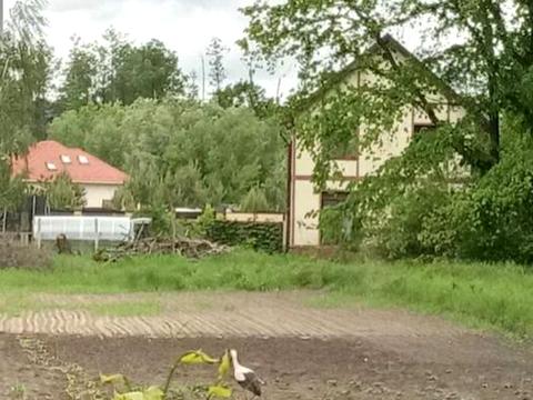 участок по адресу Лісова ул., 22