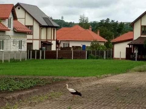 участок по адресу Лісова ул., 22