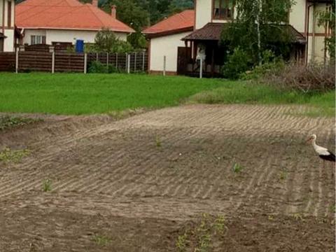 участок по адресу Лісова ул., 22