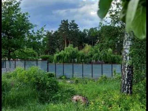 участок по адресу Лісова ул., 22