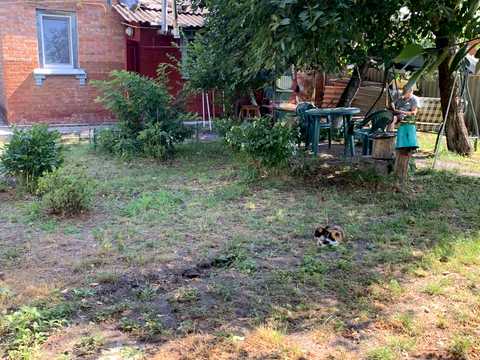 будинок за адресою Скадовського пров.