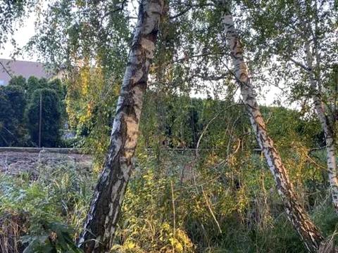 участок по адресу СТ Арсеналець-7