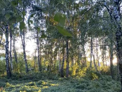 участок по адресу СТ Арсеналець-7