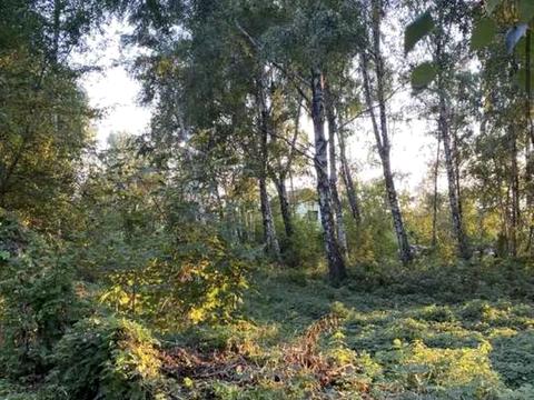 участок по адресу СТ Арсеналець-7