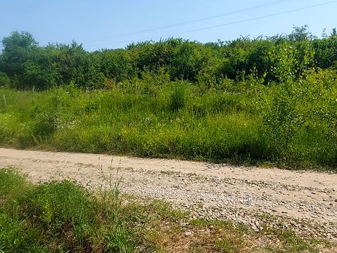 участок по адресу Молодіжна