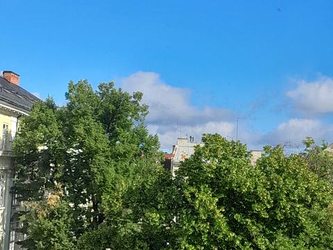 квартира за адресою Ринок пл., 12