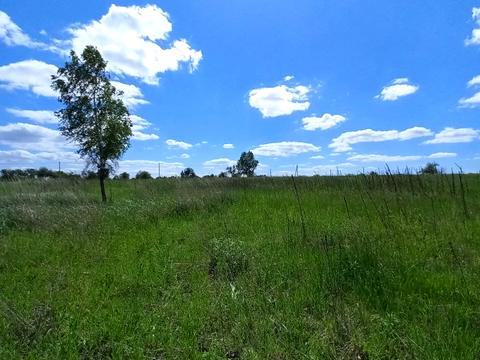 участок по адресу Лісова, 9