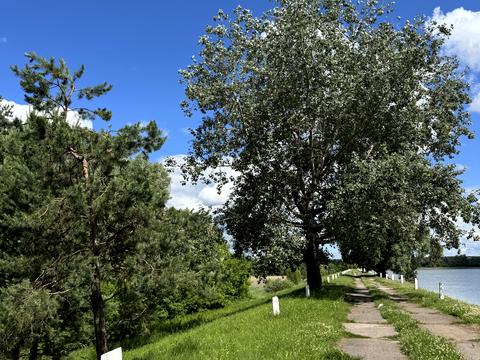 участок по адресу 