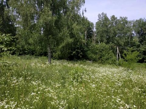 участок по адресу Яррова
