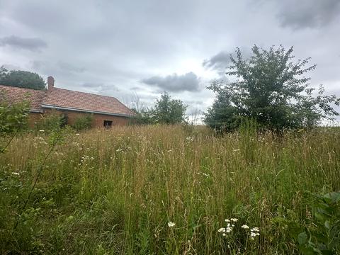 ділянка за адресою с. Домаморич, 