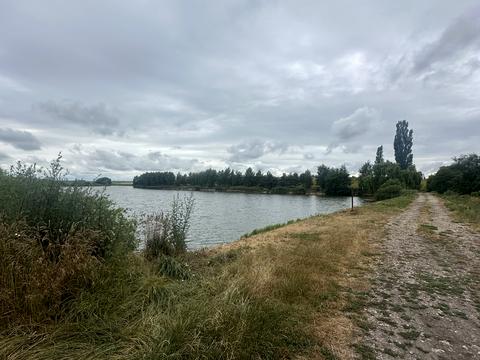 ділянка за адресою с. Домаморич, 