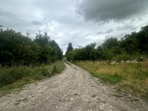 ділянка за адресою с. Домаморич, 