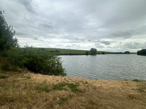 ділянка за адресою с. Домаморич, 