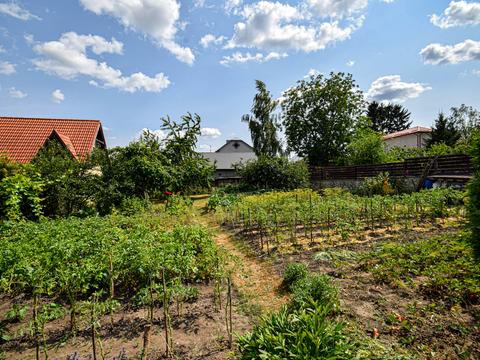 будинок за адресою Вишнева вул., 6