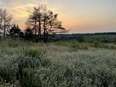 ділянка за адресою Дачна