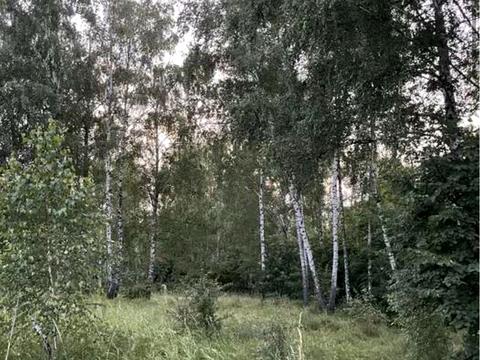 ділянка за адресою Дачна