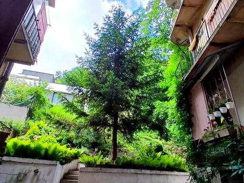 квартира за адресою Зарицьких вул. (), 8