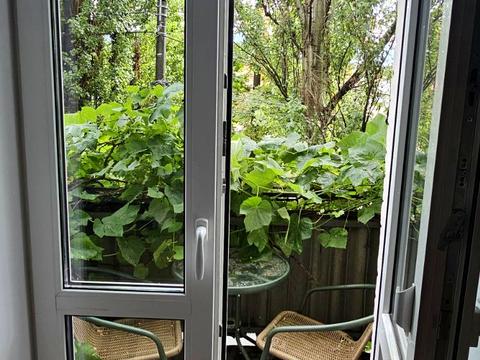 квартира за адресою Старокозацька вул. (Комсомольська), 74в