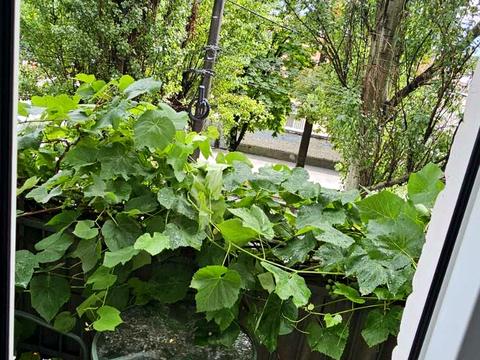 квартира за адресою Старокозацька вул. (Комсомольська), 74в