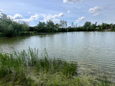 дом по адресу Броварська ул.