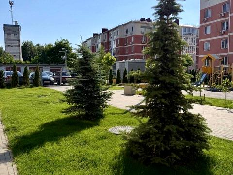 коммерческая по адресу Гетманская ул., 5