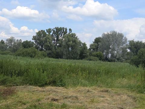 ділянка за адресою братів гуріних, 4