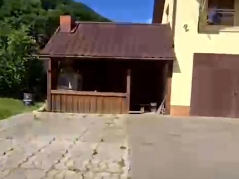 1870397027384868