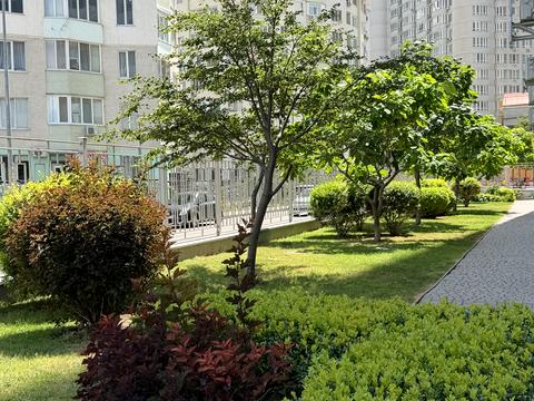 квартира по адресу Люстдорфская дорога ул. (Черноморская дорога), 55/2