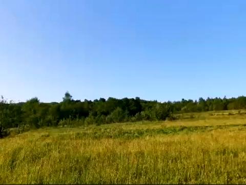 ділянка за адресою с. Голубине, урочище Ягниди вул.