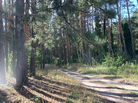 участок по адресу Лісова