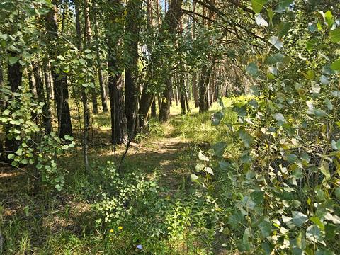 участок по адресу Лісова