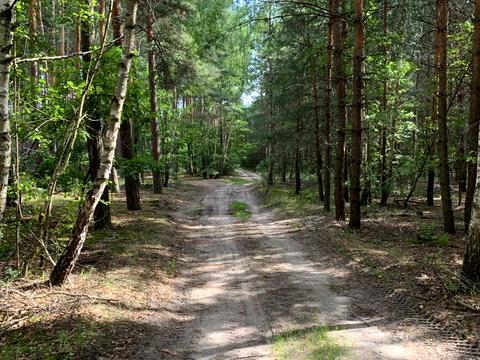 участок по адресу Лісова
