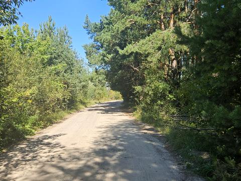 участок по адресу Лісова