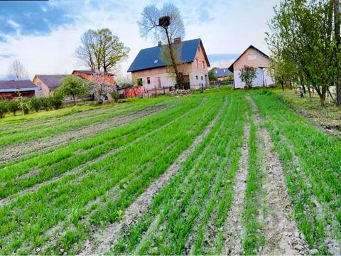 будинок за адресою Центральна